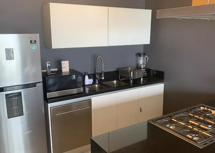 Amazing Fully Equipped Penthouse * México DF